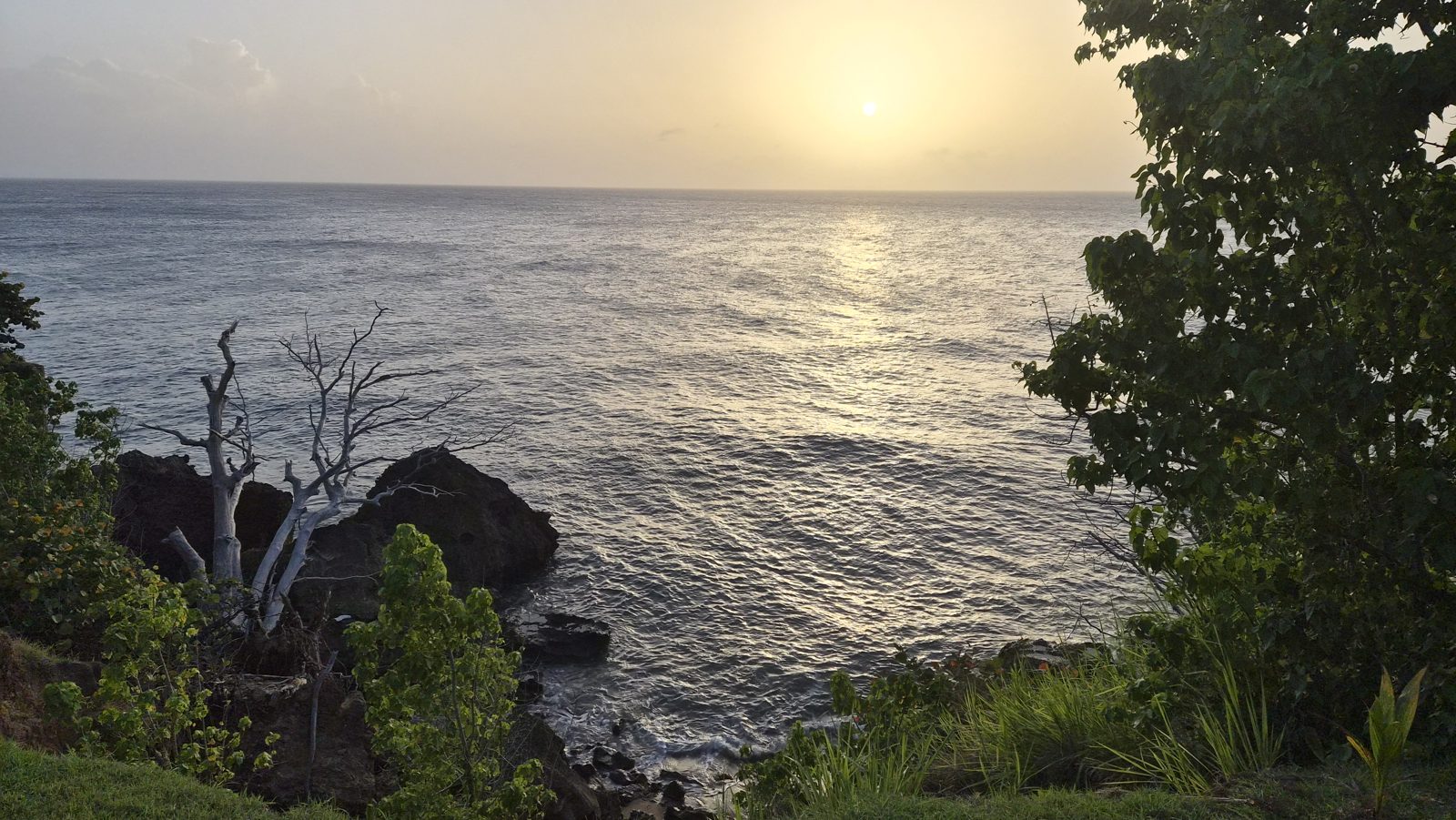 Sun low over the Caribbean, seen past dark rocks and sea grapes