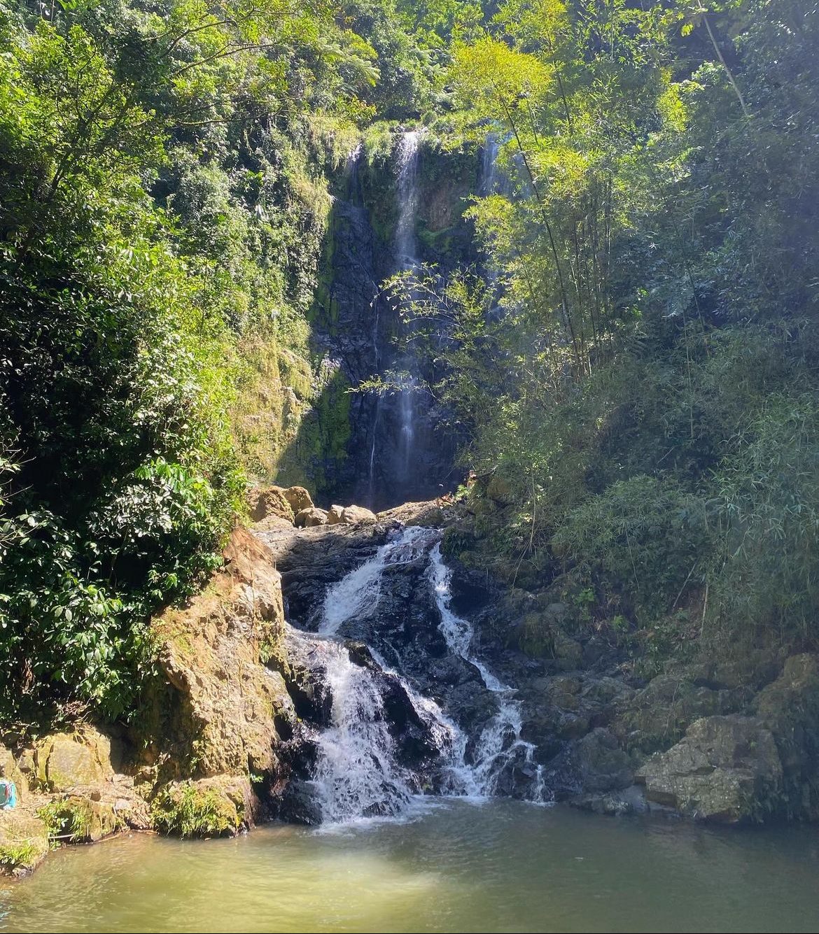 A waterfall descending through dense green forest into a pool