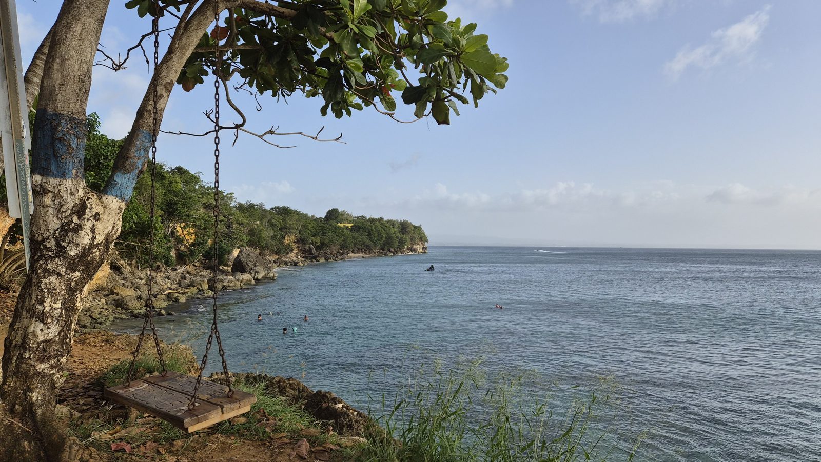 A wooden swing hanging from a tree over a calm Caribbean bay