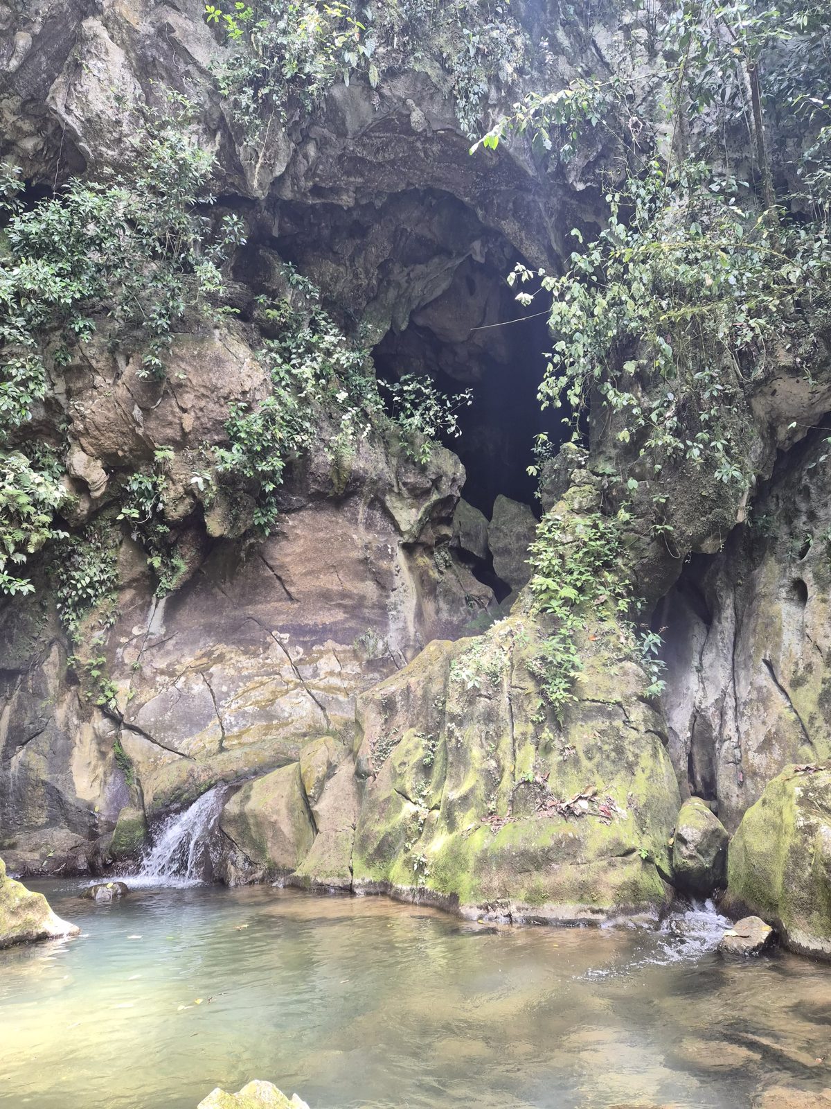 A small waterfall falling from a cave mouth into a clear pool