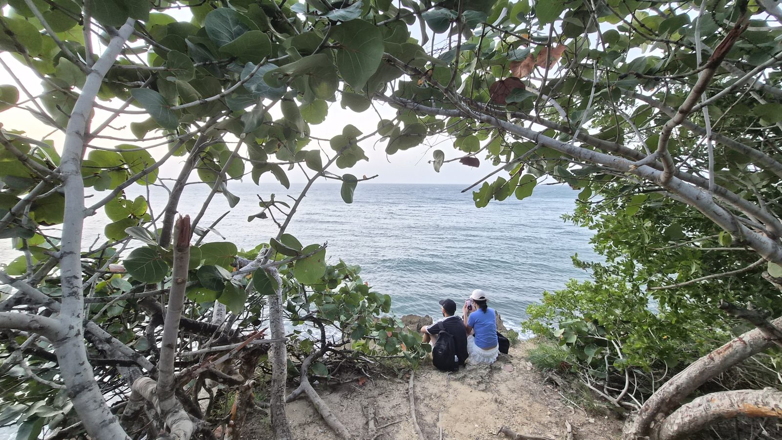 Two people seated on a cliff edge, framed by sea grape branches, watching the sea at sunset